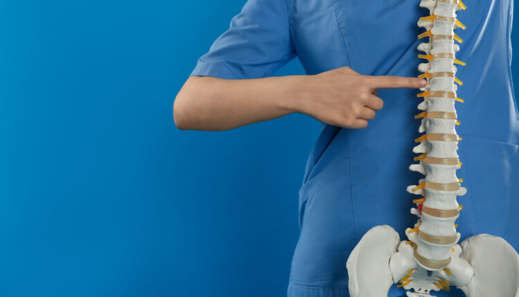 1724666304 723 اگر روزی یک عدد موز بخوریم، چه اتفاقی می‌افتد؟ ساحل دانش