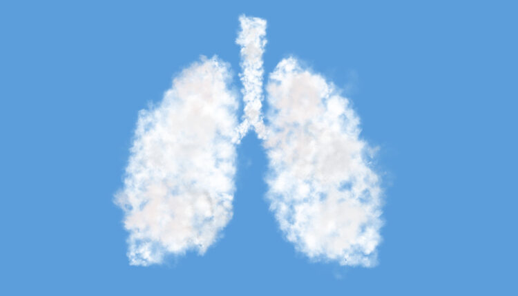 1724666305 21 اگر روزی یک عدد موز بخوریم، چه اتفاقی می‌افتد؟ ساحل دانش