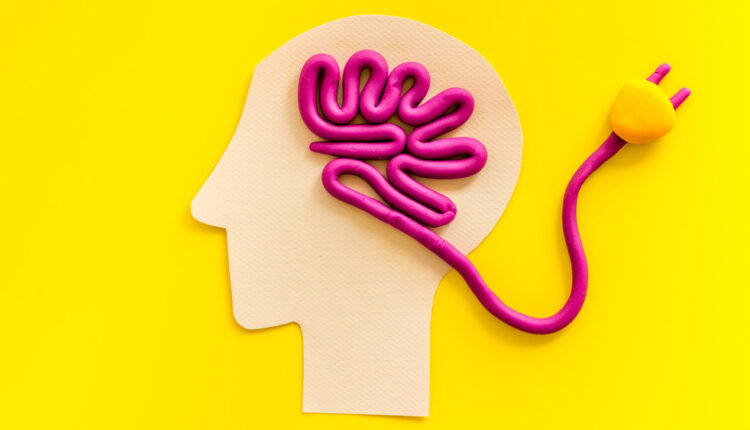 1724666305 245 اگر روزی یک عدد موز بخوریم، چه اتفاقی می‌افتد؟ ساحل دانش