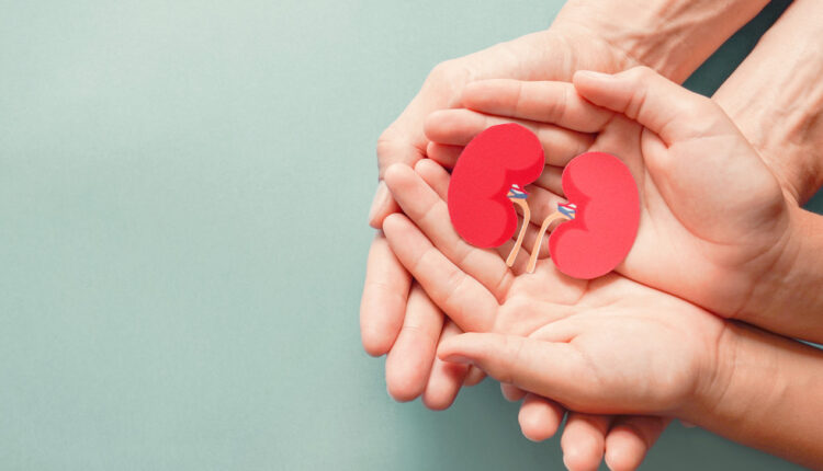 1724666305 684 اگر روزی یک عدد موز بخوریم، چه اتفاقی می‌افتد؟ ساحل دانش