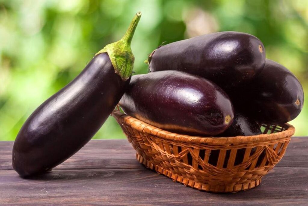 ۱۲ مواد غذایی که نیازی به یخچال ندارند ساحل دانش