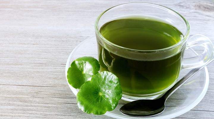برای افت استرس چه دمنوشی بخوریم؟ 16 دمنوش آرامش اعصاب گوتو کلا (سنتلا)