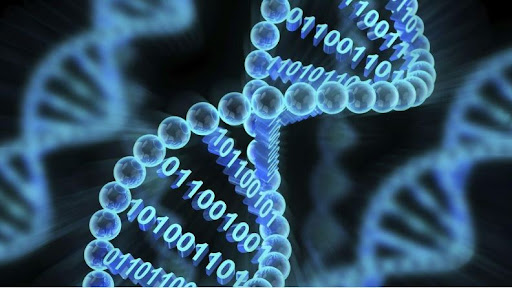 تحقیق نوین بر روی میزان ریزش DNA و کاربرد آن در پزشکی قانونی