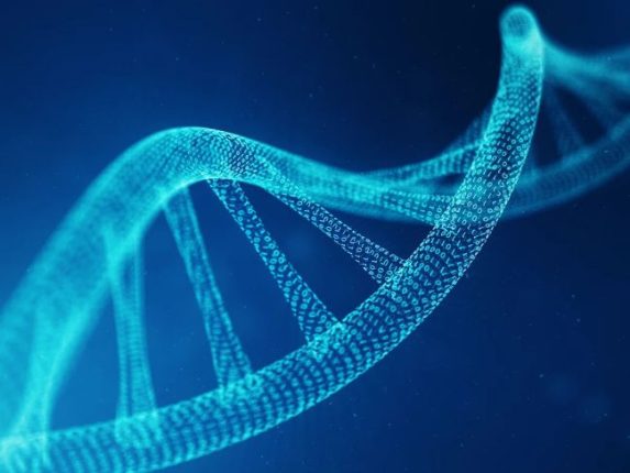 دانشمندان برای ذخیره سازی داده‌ها از DNA استفاده کردند