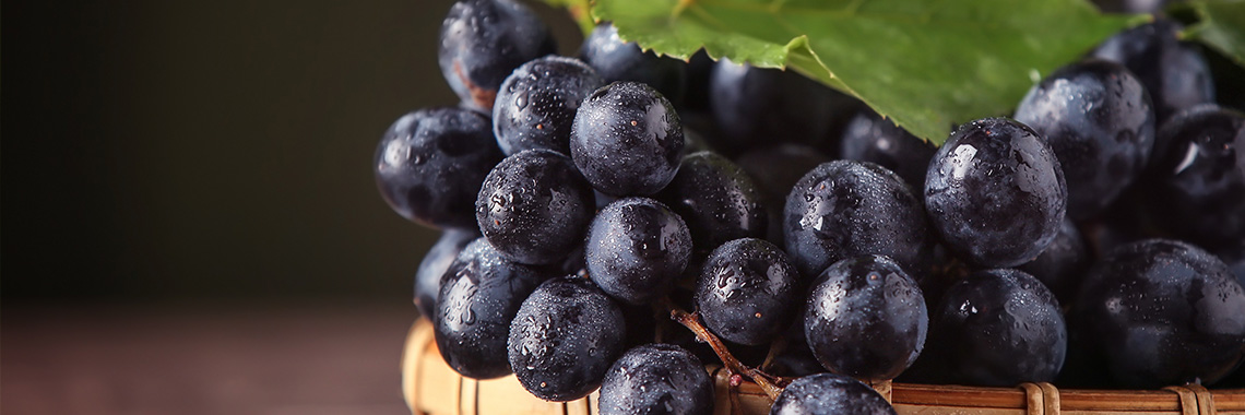 1733416363 186 خواص انگور؛ ۵۵ خاصیت درمانی انواع انگور برای موارد مختلف ساحل