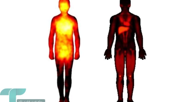 محل دقیق تجربه احساساتی مانند عشق از گذشته تاکنون تغییر کرده است