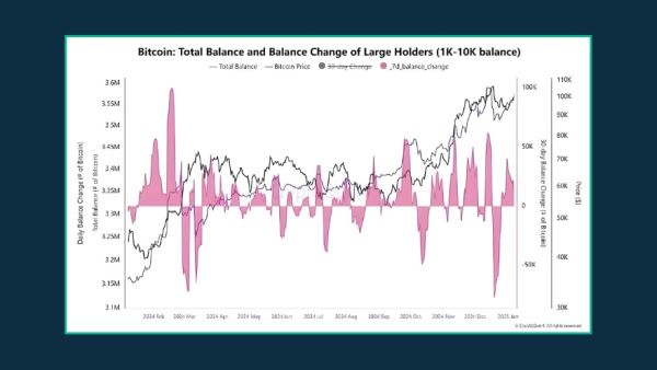 نمودار وضعیت هولدر های بیت کوین