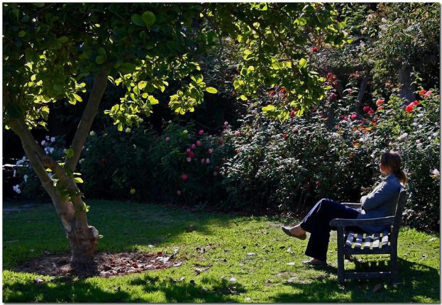 چطور تنهایی بهتری داشته باشیم؟ + ۸ راه برای لذت بردن از انجام کارها به تنهایی