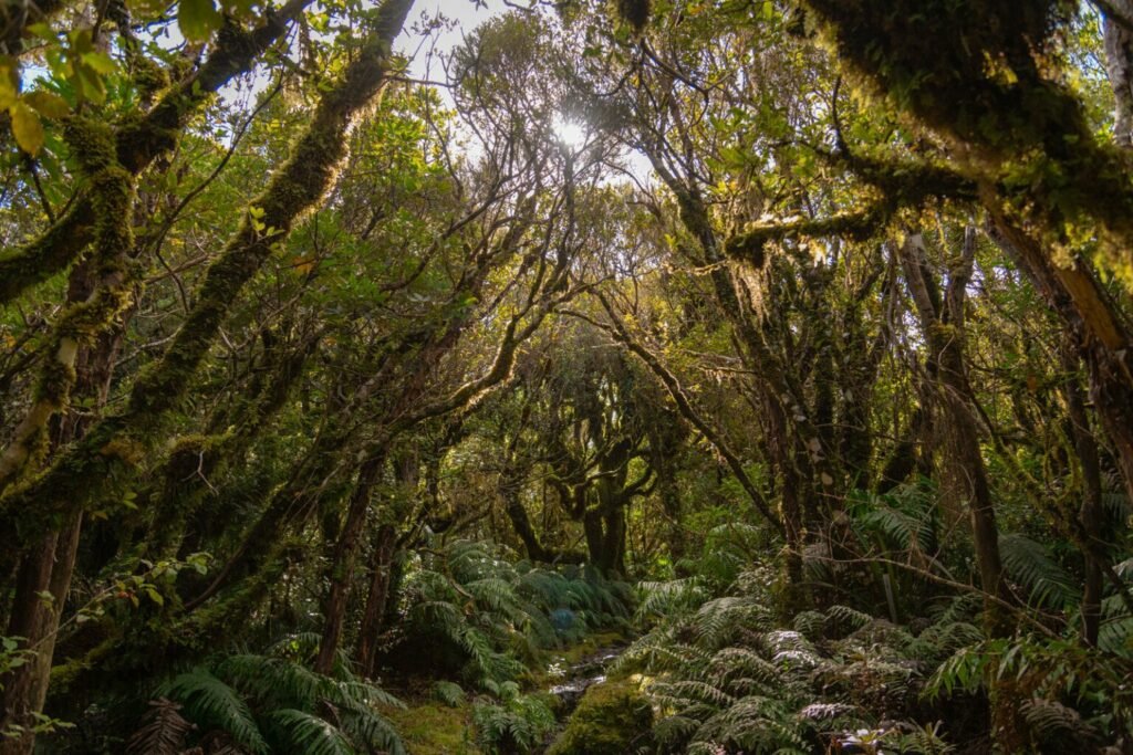 تصاویر کمپین جدید نشنال جئوگرافیک