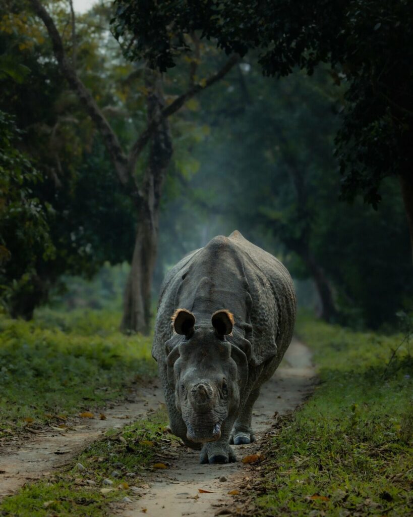 تصاویر کمپین جدید نشنال جئوگرافیک