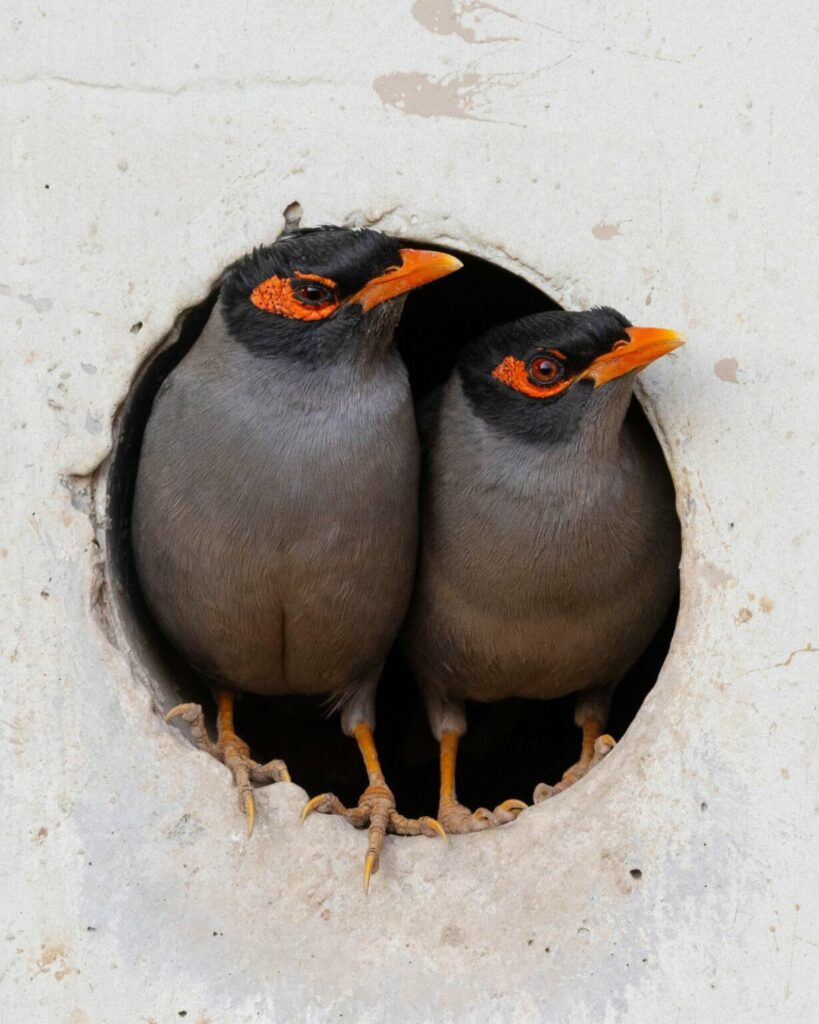 تصاویر کمپین جدید نشنال جئوگرافیک