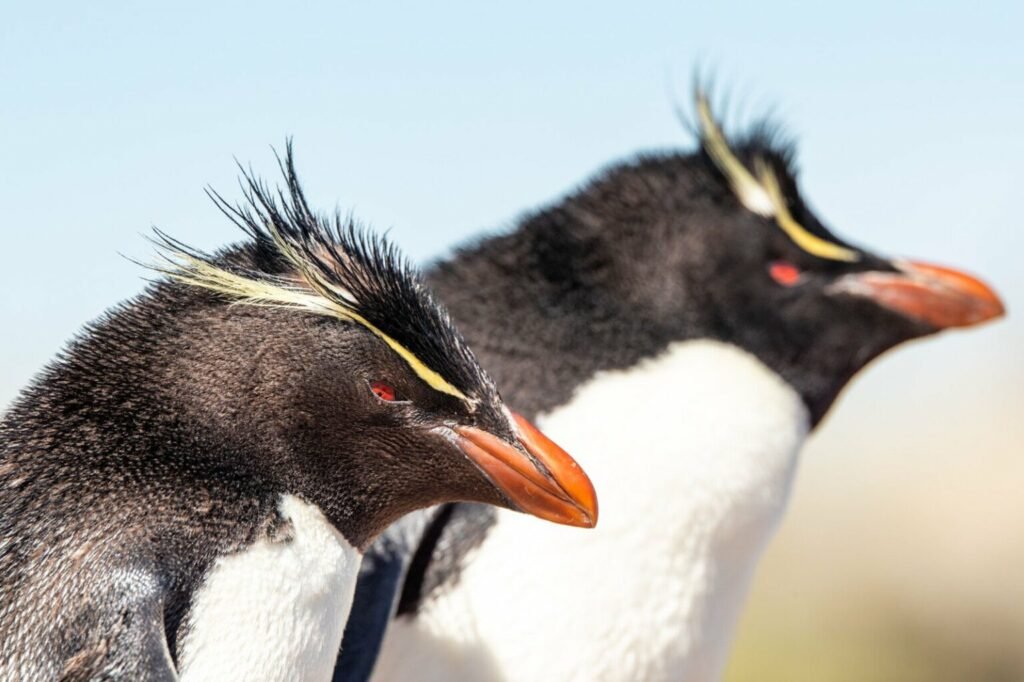 تصاویر کمپین جدید نشنال جئوگرافیک