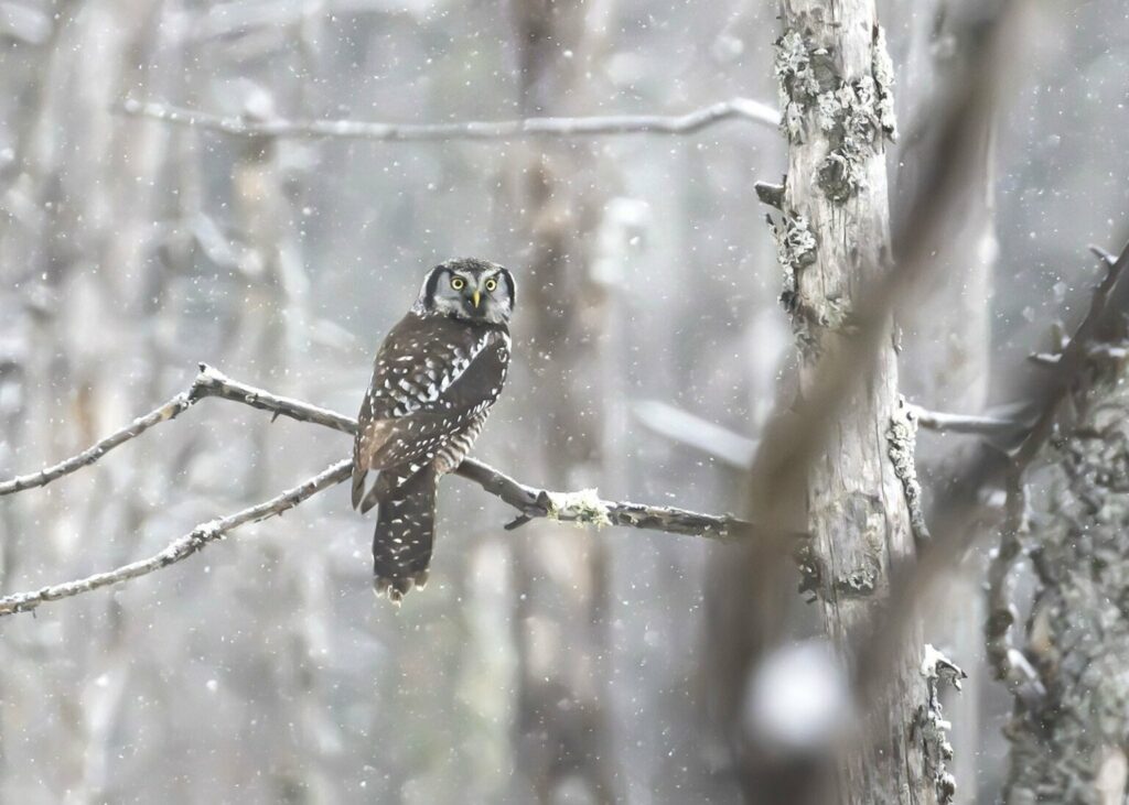 تصاویر کمپین جدید نشنال جئوگرافیک