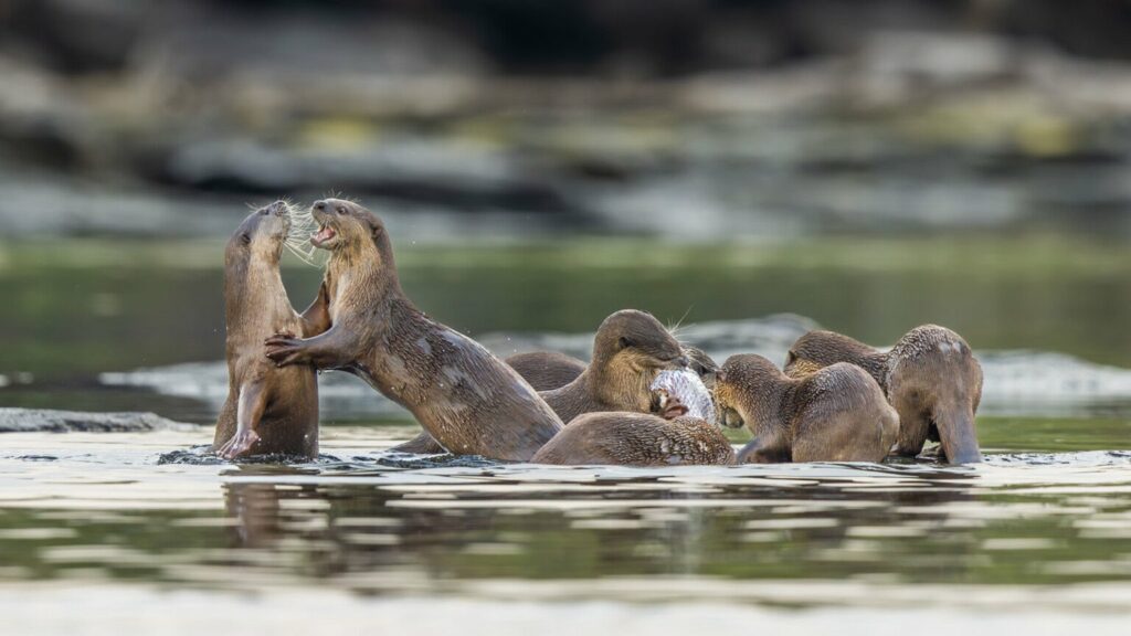 تصاویر کمپین جدید نشنال جئوگرافیک