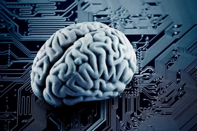 رابط مغز-کامپیوتر به بازمانده سکته مغزی پس از ۱۸ سال امکان صحبت کردن داد