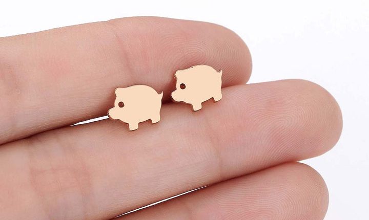 کادو برای نوجوان دختر - گوشواره ظریف